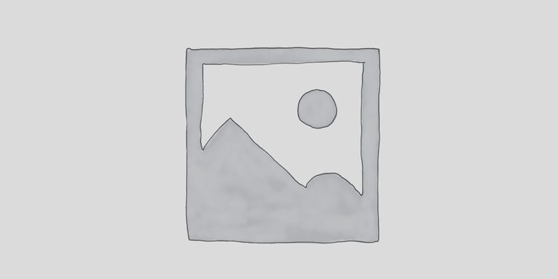 Cupidatat non proident