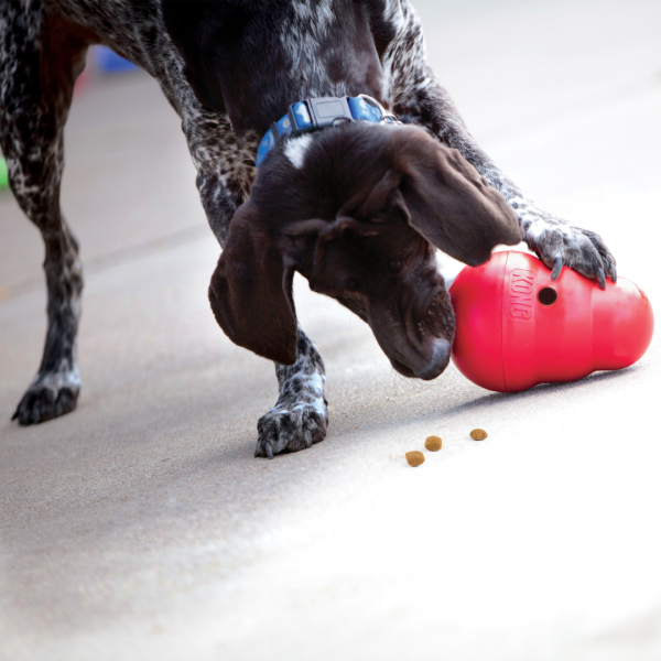 KONG - Wobbler - Imagen 2