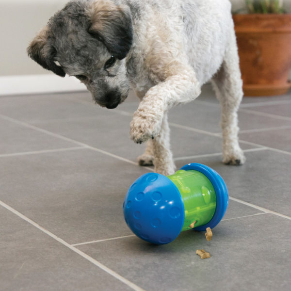 KONG - Spin It - Imagen 2