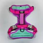 Sheepdogz - Arnés Picaflor de Arica