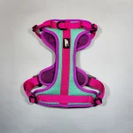 Sheepdogz - Arnés Picaflor de Arica - Imagen 3