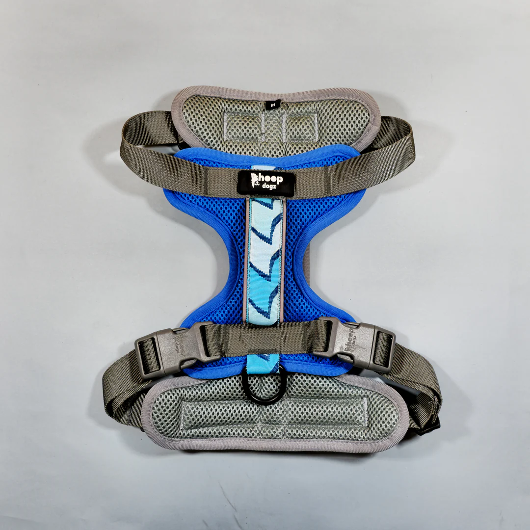 Sheepdogz - Arnés golondrina chilena