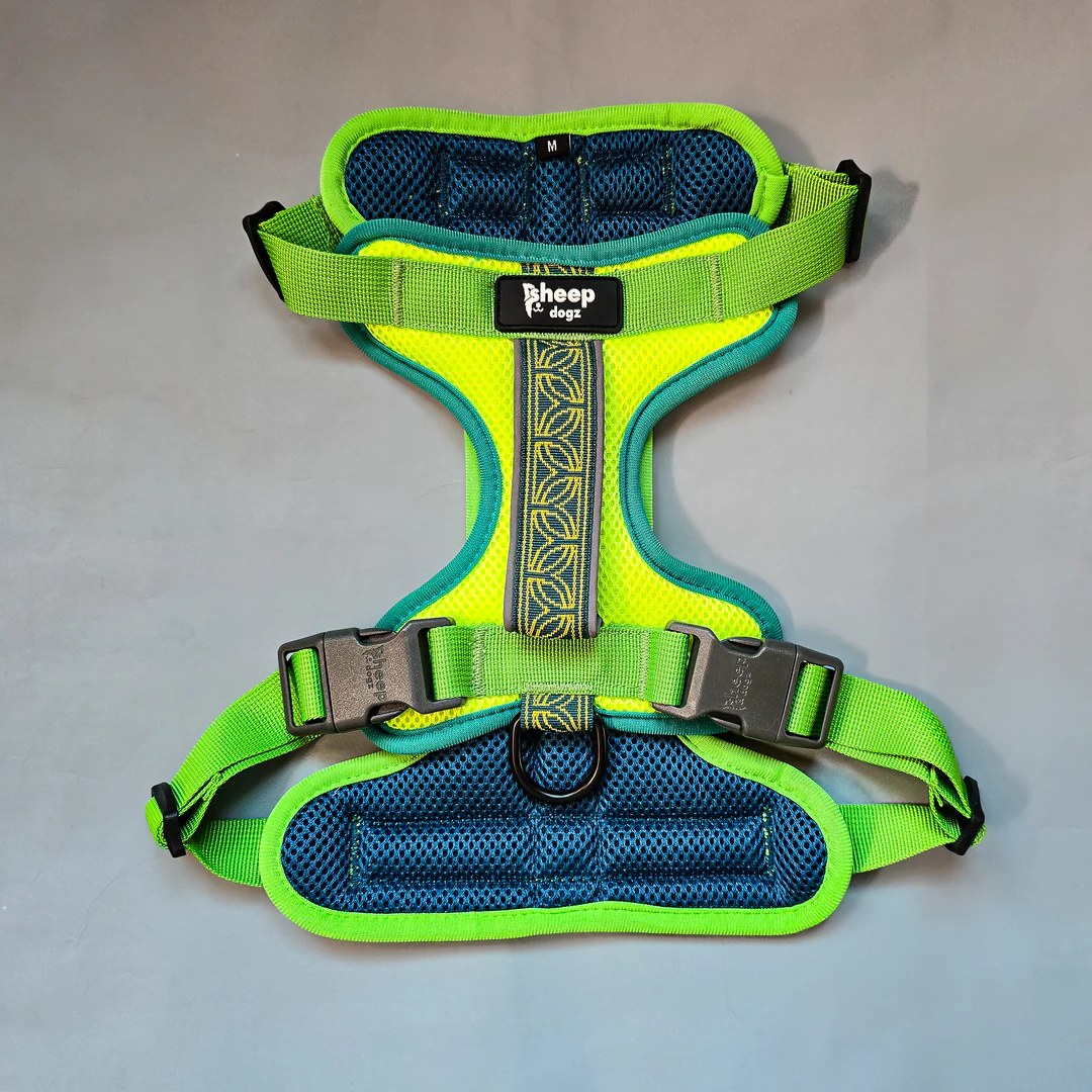 Sheepdogz - Arnés Chagual