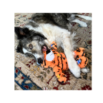 KONG - Floppy Knots Elefante - Imagen 3