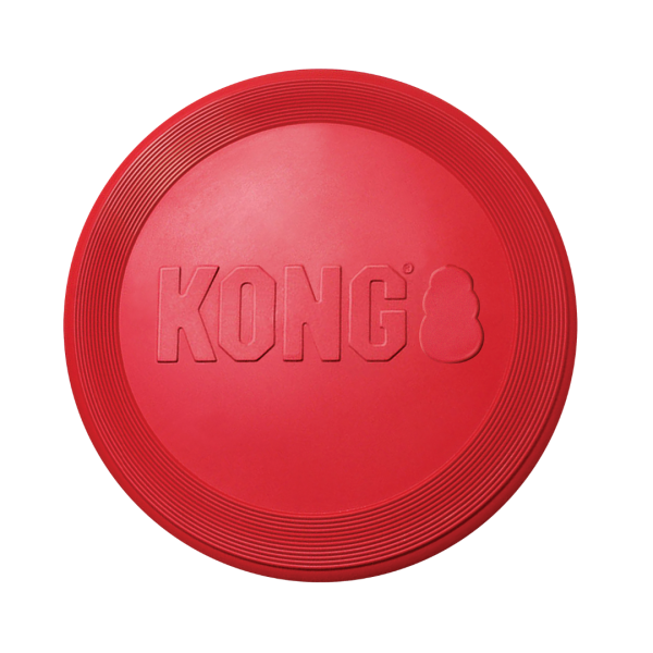 KONG - Flyer
