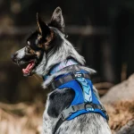 Sheepdogz - Arnés golondrina chilena - Imagen 2