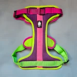 Sheepdogz - Arnés Doca - Imagen 2