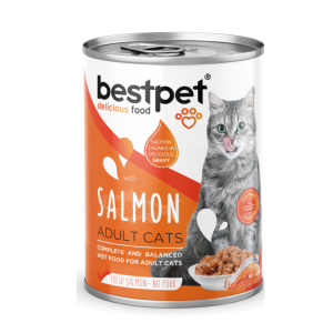 Bestpet Gato - Lata trozos de salmón en salsa