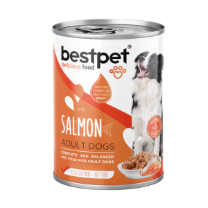 Bestpet Perro - Lata trozos de salmón en salsa