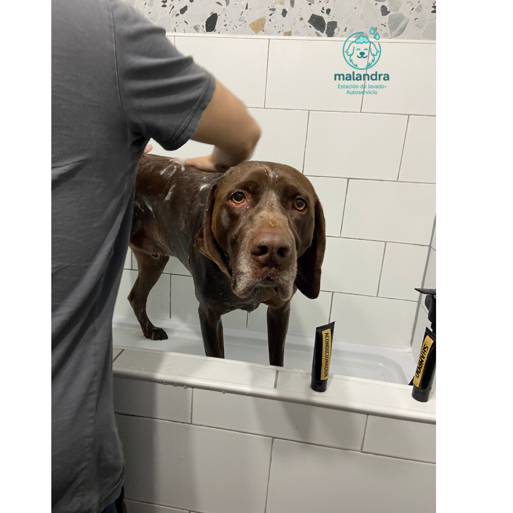 Experiencia agradable 