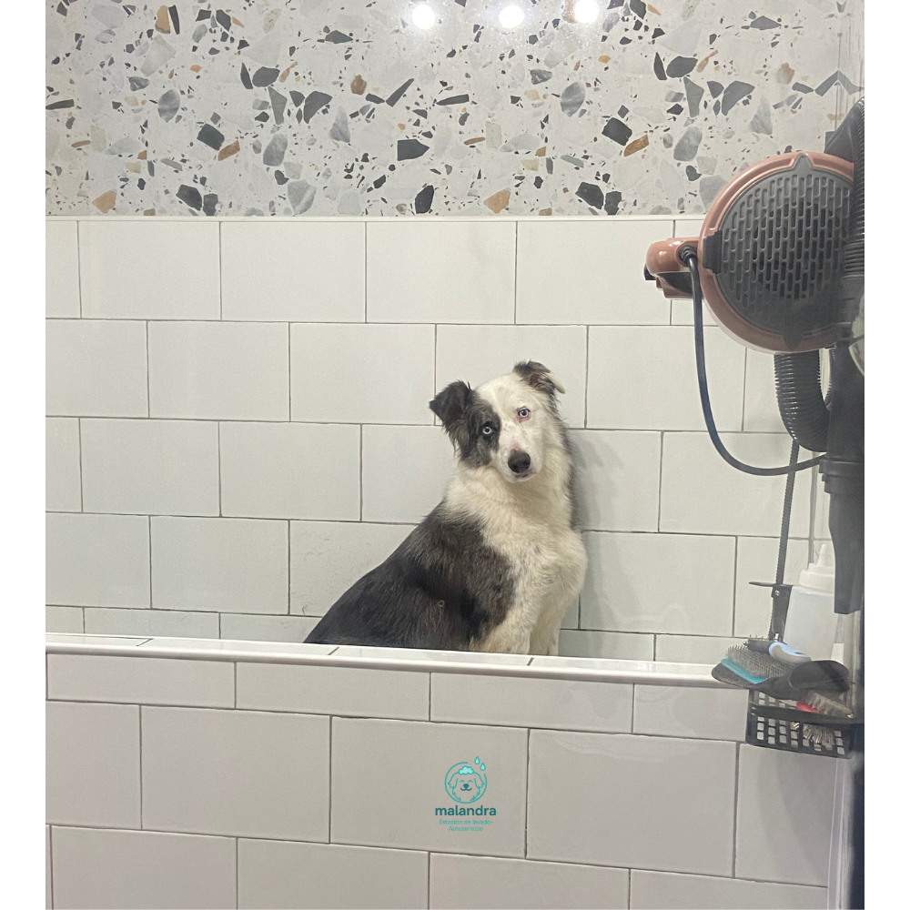 Higiene y practicidad  