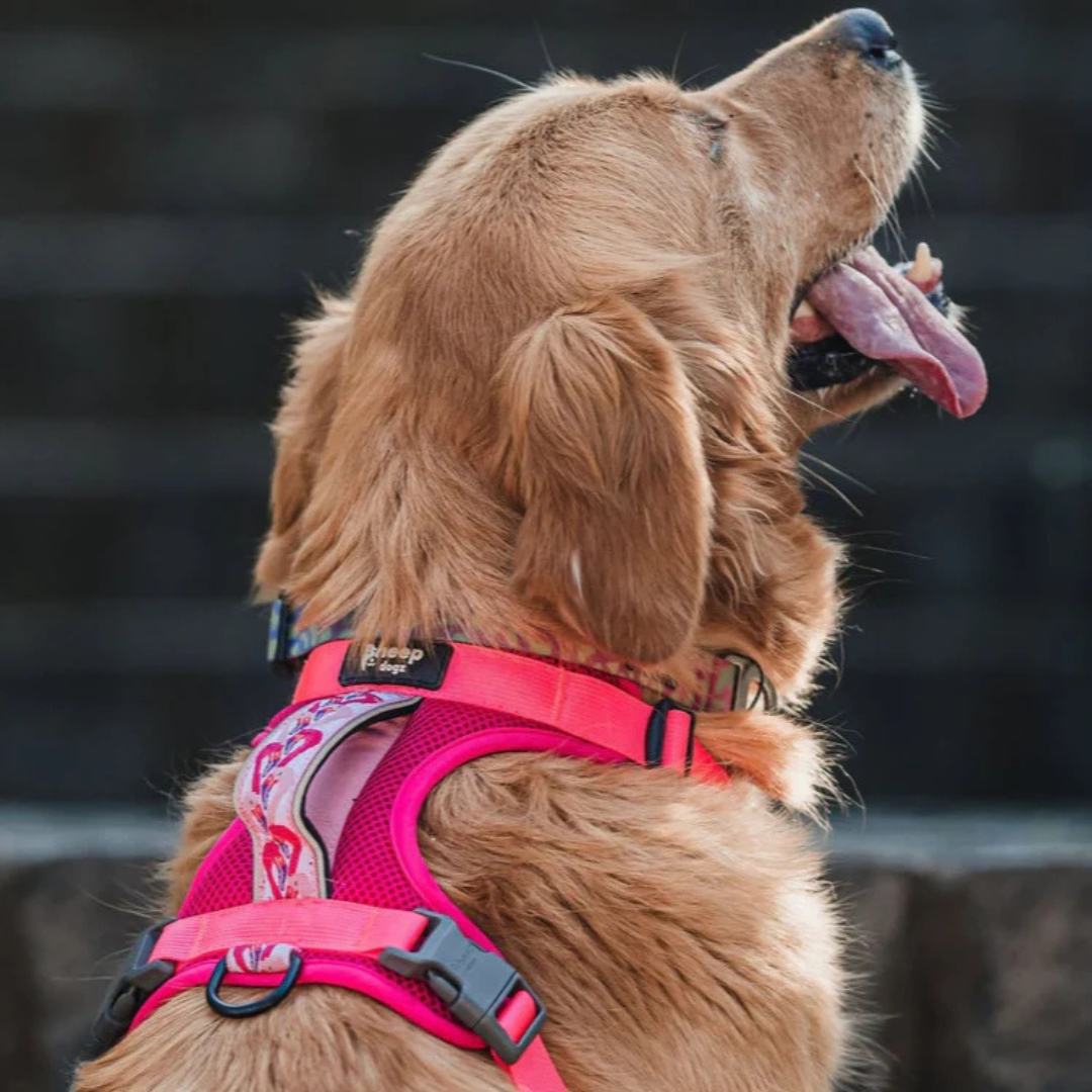 Sheepdogz - Arnés flamenco - Imagen 3