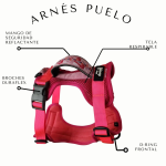 Sheepdogz - Arnés flamenco - Imagen 2