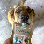 Winga - Snack untable pork paradise - Imagen 2