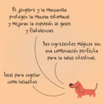 Winga - Carrot power para perros - Imagen 2