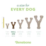 Benebone wishbone pollo - Imagen 3
