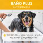 Baño PLUS Autoservicio
