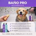 Baño PRO Autoservicio con Productos Profesionales
