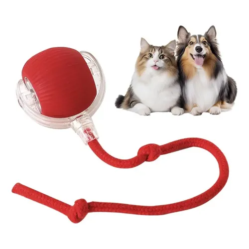 D_Q_NP_2X_621744-MLA87125486605_072025-P Wondercat - Bola interactiva con cuerda carga USB - Imagen 1