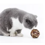 Wondercat - Bola de catnip en jaula de dental sticks - Imagen 2